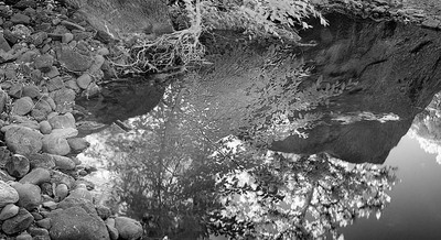 20050904_sunolcrw_4103p_3