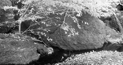 20050904_sunolcrw_4121