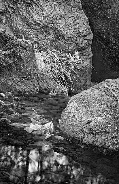 20050904_sunolcrw_4125_1 20050904_sunolcrw_4125_1