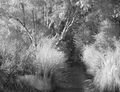 20050905_baylandscrw_4153p_2