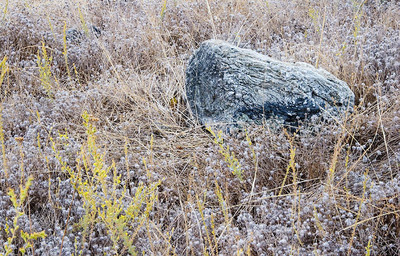 20050915_sunol_mg_4901