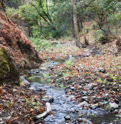 20050915_sunol_mg_4921p