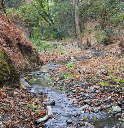 20050915_sunol_mg_4921pa_1