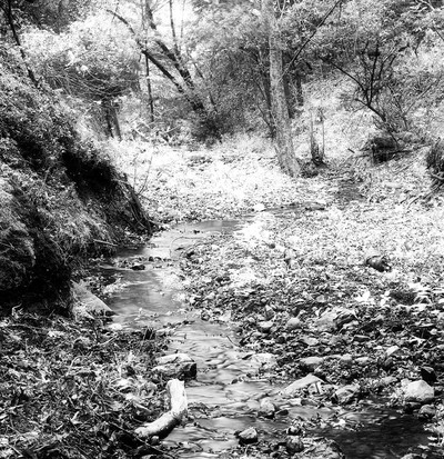 20050915_sunol_mg_4921pb_1