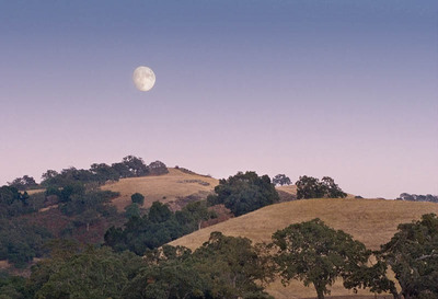 20050915_sunol_mg_4955