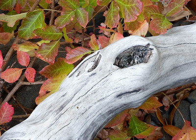 20050918_hunting_hollow_mg_5015