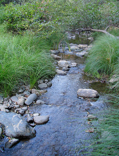 20050919_sunolimg_0520