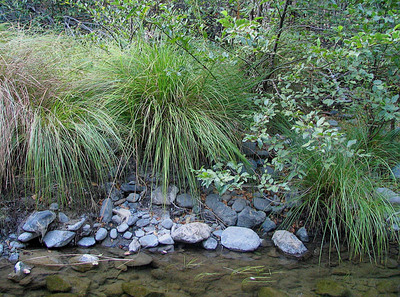 20050919_sunolimg_0540