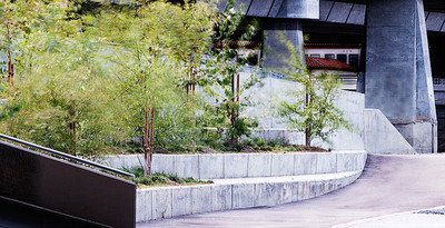 20050925_san_jose_mg_5089pa