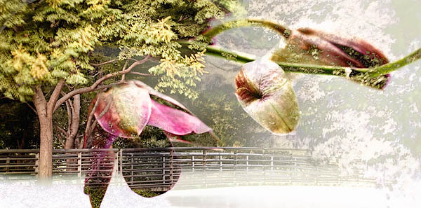 20050925_san_jose_mg_5103pc