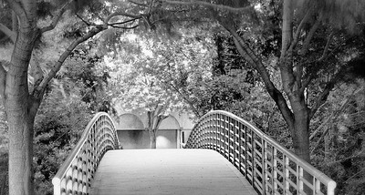 20050925_san_jose_mg_5116pbw