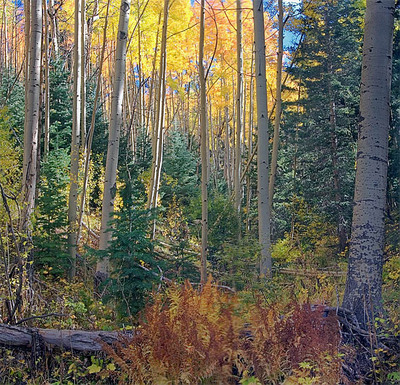 20051007_santa_fe_mg_5301p_1