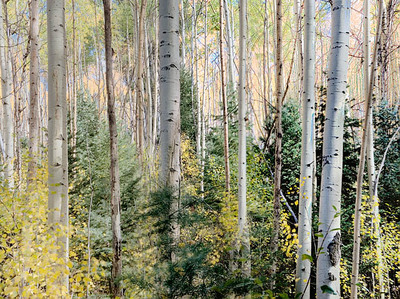 20051007_santa_fe_mg_5337p 20051007_santa_fe_mg_5337p