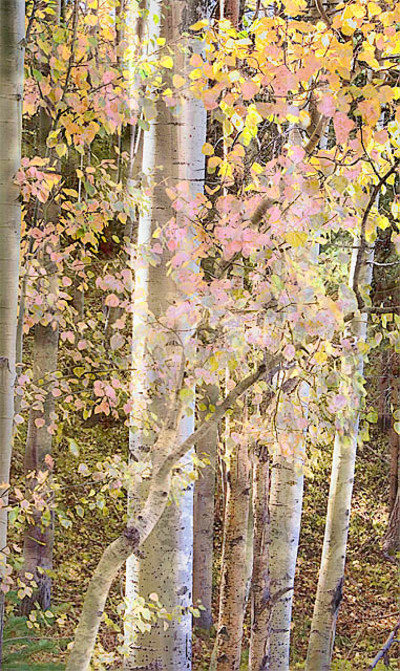 20051007_santa_fe_mg_5392pc