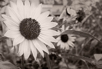 20051010_santa_fe_mg_5597