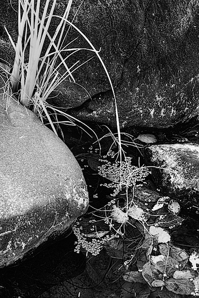 20051022_sunolcrw_5137