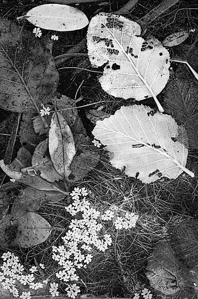 20051022_sunolcrw_5152