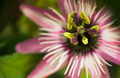 20051029_napa_mg_5698