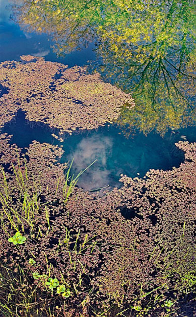 20051029_napa_mg_5738