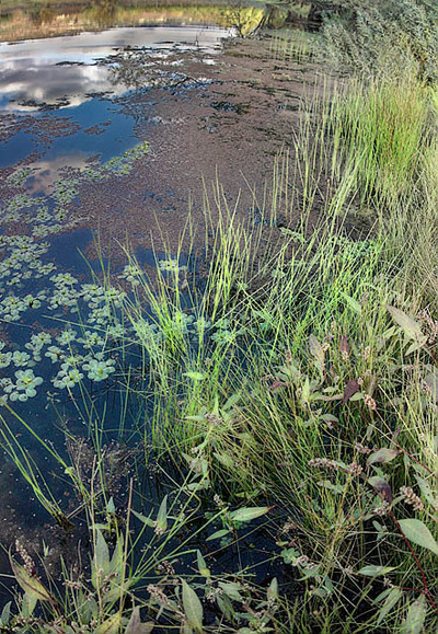 20051029_napa_mg_5744