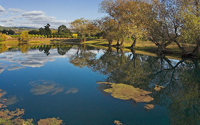20051029_napa_mg_5754