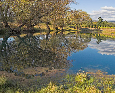 20051029_napa_mg_5755