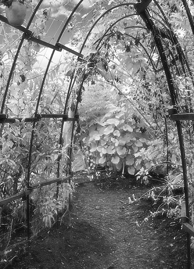 20051029_napacrw_5232