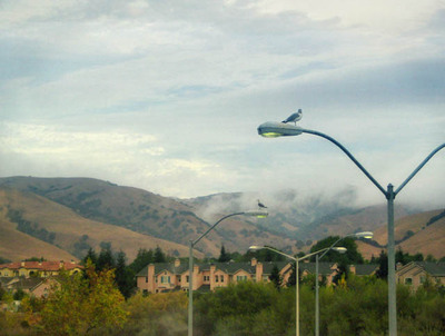 20051104_fremontimg_0570