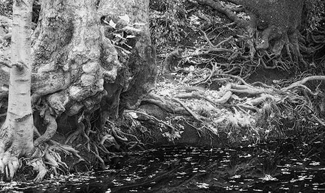 20051106_sunolcrw_5284p