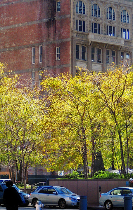 20051108_homeimg_0574