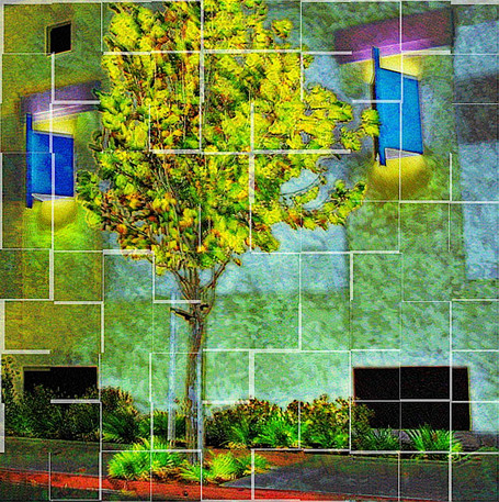 20051109_homeimg_0579