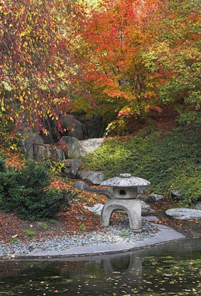 20051113_berkeley_botanical_mg_589002