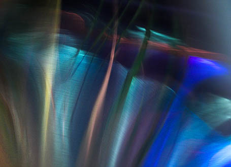 20051120_sf__mg_5934_1