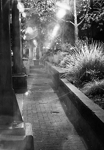 20051120_sf_crw_5380 20051120_sf_crw_5380