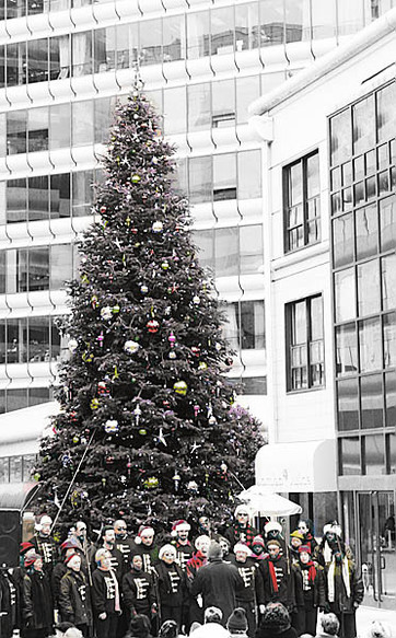 20051207_city_centerimg_0607_1