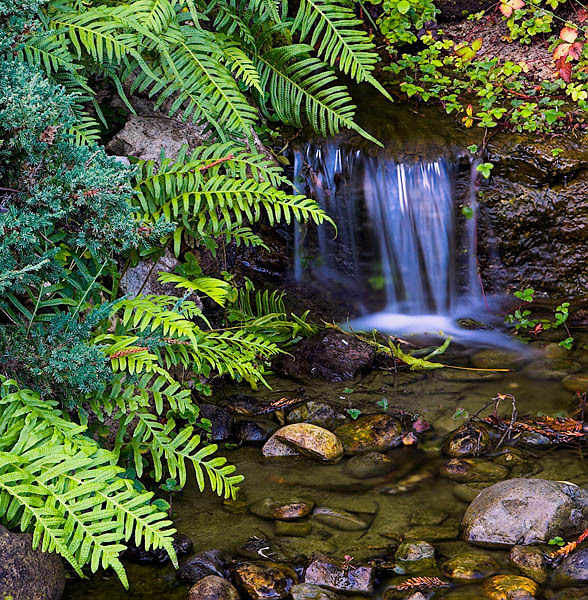 20051211_hakone_mg_6100