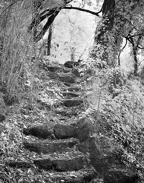 20051218_golden_gatecrw_5487p