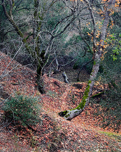 20051220_sunol_mg_6201