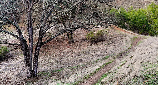 20051220_sunol_mg_6203p