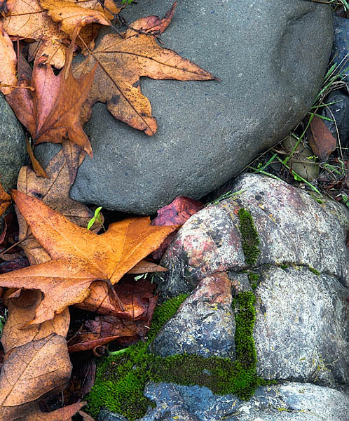 20051223_sunol_mg_6209