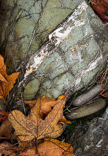 20051223_sunol_mg_621302