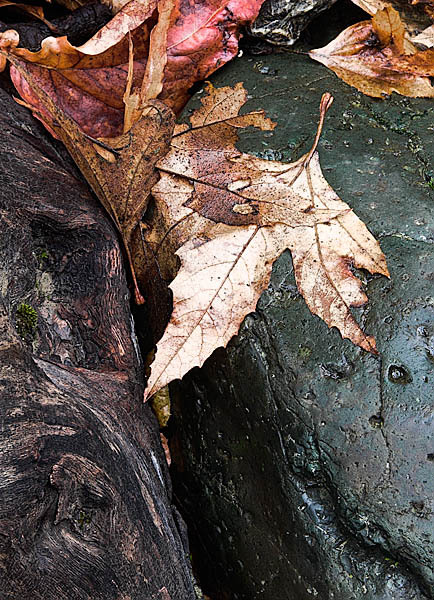 20051223_sunol_mg_6224