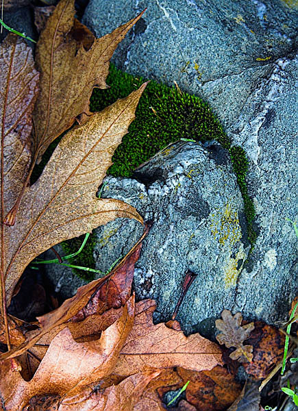 20051223_sunol_mg_6238