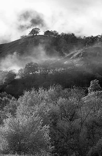 20051223_sunolcrw_5523