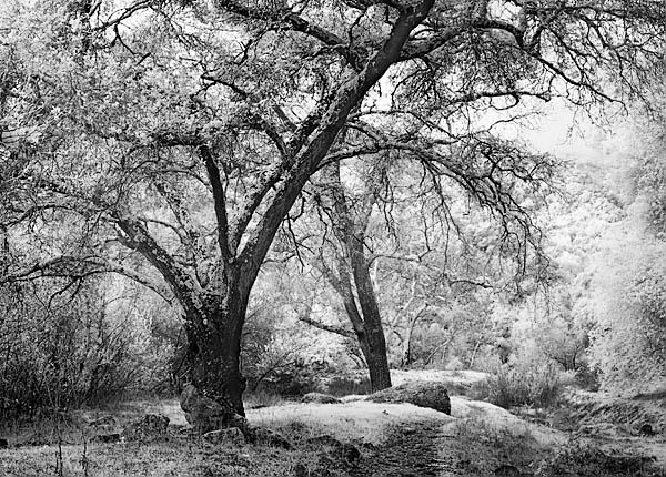 20051223_sunolcrw_5545p_1