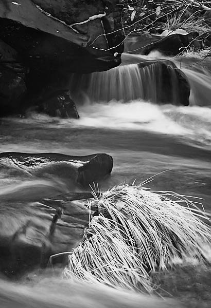 20051223_sunolcrw_5560