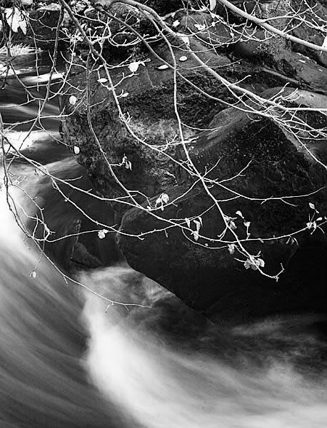 20051223_sunolcrw_5567