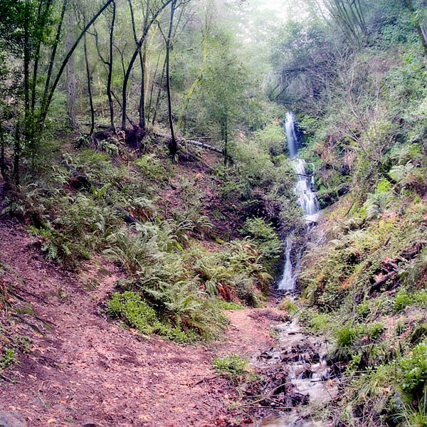 20051225_samuel_taylor_mg_6325