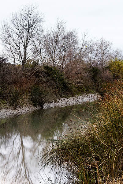 20051227_coyote_creek_mg_6448