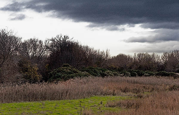 20051227_coyote_creek_mg_6453